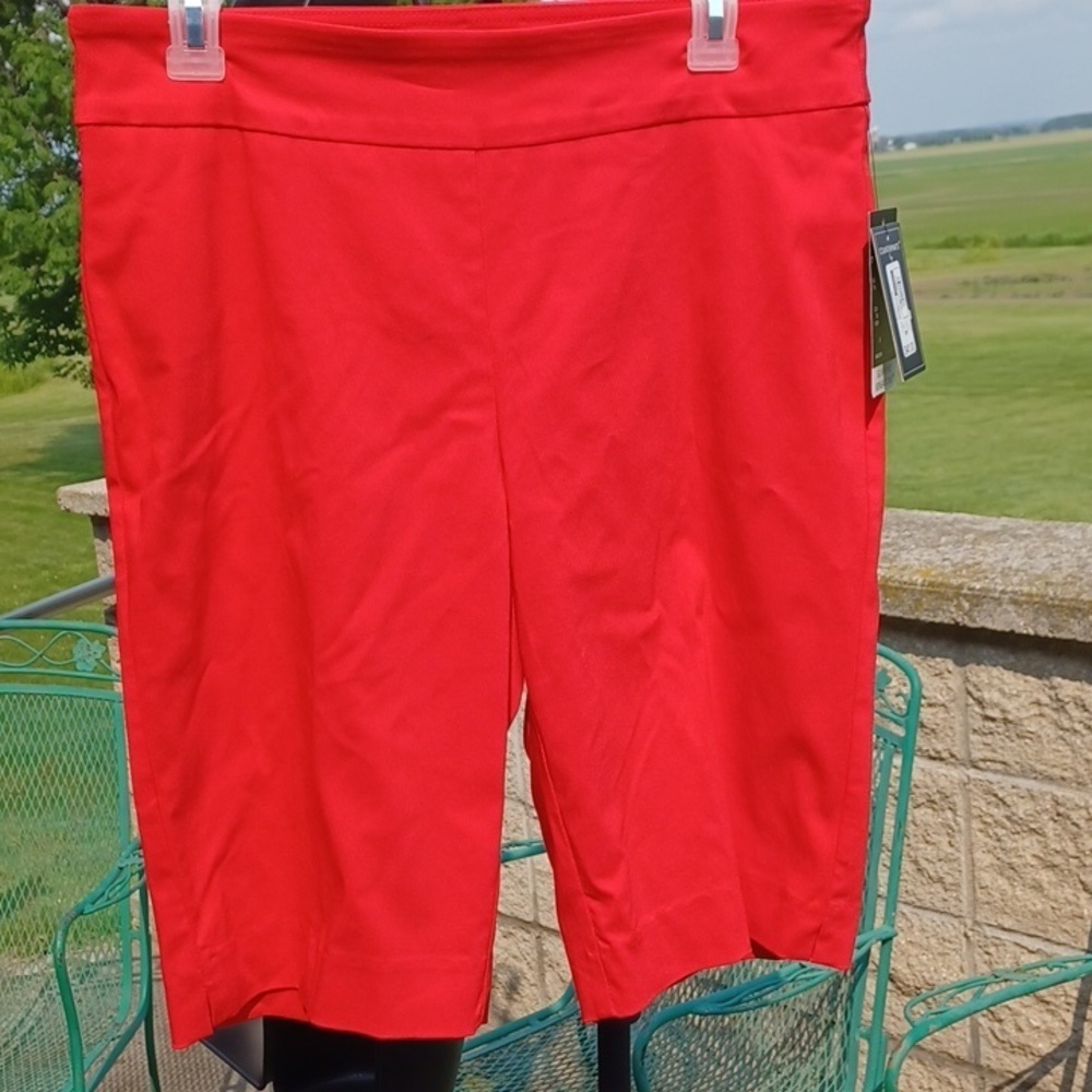 Counterparts Red pull on stretch shorts with tummy control